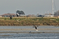 13 04 12_9387_edited-1